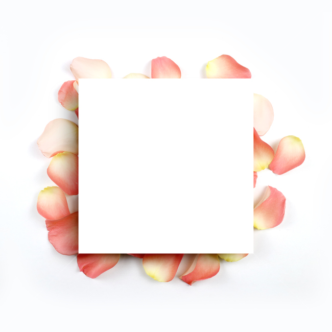 꽃,프레임,백그라운드,꽃잎,배경,배경이미지,봄,계절,내츄럴,보태니컬,보태니컬프레임