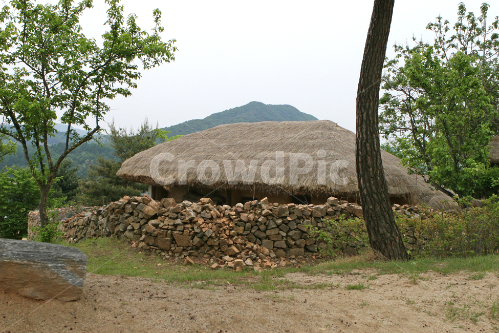 초가,초가집,전통가옥,한국전통가옥,전통,한국전통,한국문화,korean traditional,korean culture,건축물,건물외관,exterior,building,structure,architecture,construction