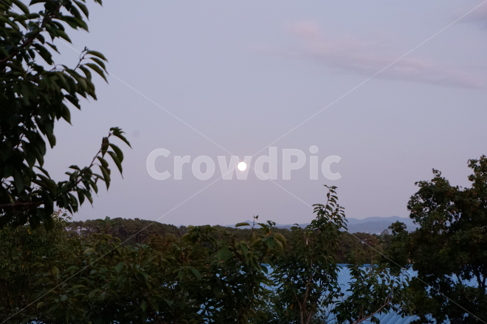 nature,자연,하늘,달,보름달,자연,풍경,nature,landscape