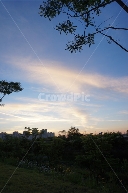 일출,해,아침,풍경,구름,자연,풍경,nature,landscape,tree,나무,plant,식물,outdoors,옥외