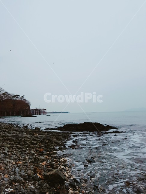 자갈,바다,해변,영흥도,해수욕장