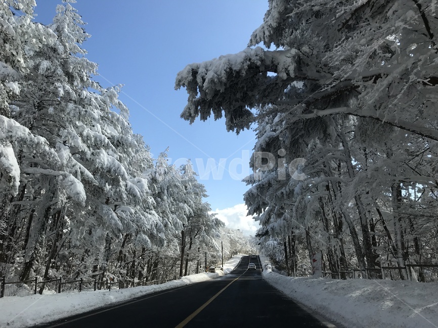 제두도,1100도로,한라산,겨울,눈,snow,겨울왕국,풍경,white,snowview