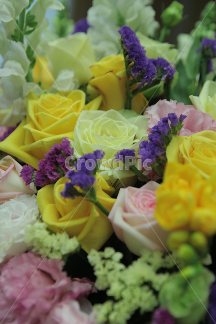 꽃,꽃다발,장미,배경,꽃꽂이,plant,blossom,flowerarrangement,flowerbouquet,flower,꽃부케