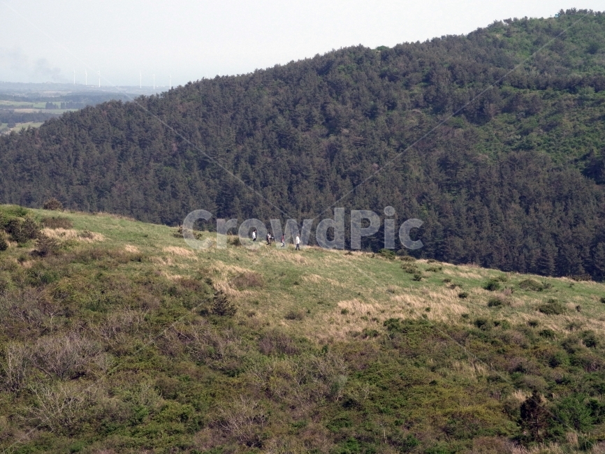 제주,오름,능선,등산,사선,자연,풍경,nature,landscape,사람,인물,인간,human,person,outdoors,옥외