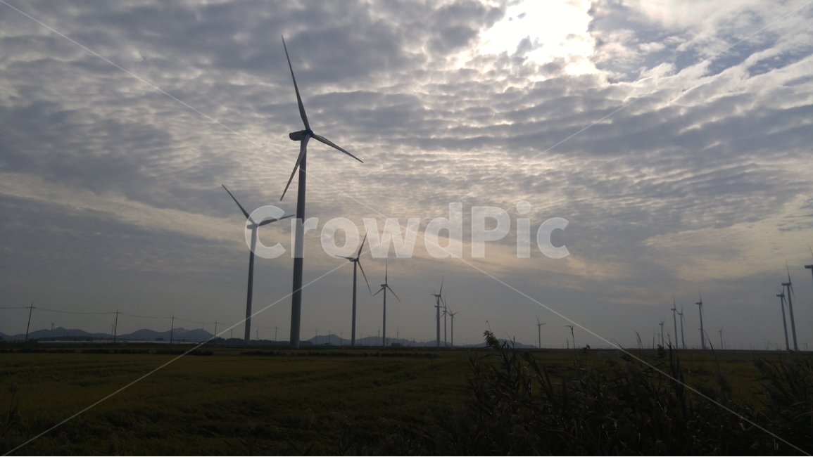 풍력,발전,에너지,바람,풍경,구름,하늘,시골,맑음,풍력발전소,wind,energy,sky,cloudy,흐림,nature,landscape풍력,풍력발전,자연,해,cloud,landscape,풍력발전기,신안,길,논,밭,자연,풍경,nature,landscape,산업,industry,industrial,에너지산업,energy industry,machine,기계,motor,모터,engine,엔진