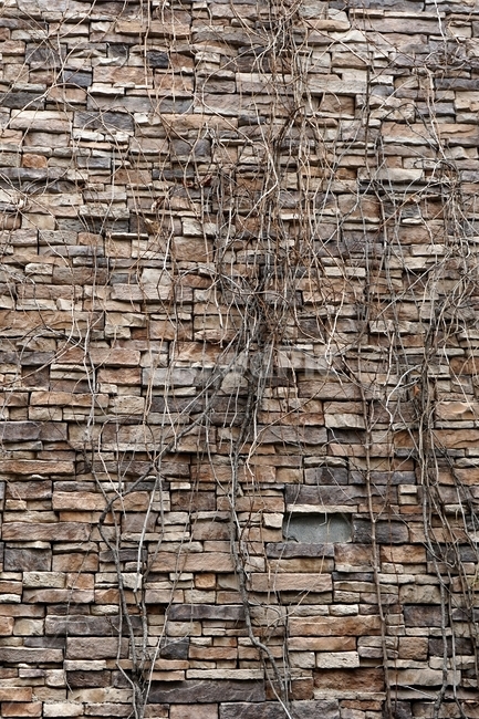벽,벽돌,돌,돌벽돌,견고함,건축,건축재료,wall,brick,stonebrick,sturdy,단단함,견딤,조화,strong,solid,safety,식물,자연,plants,nature