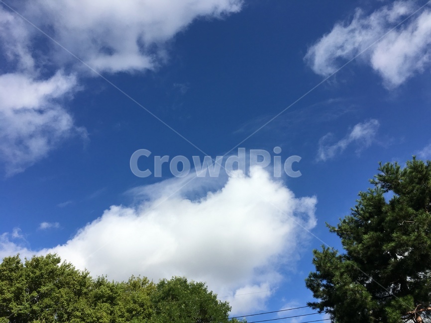 구름,뭉게구름,하늘,낮,cloud,sky,summer,niceday