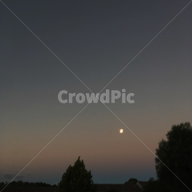 moon,mood,달,tree,night,밤,나무,달사진,밤풍경,풍경,everydayzoe,여행,조용한,자연,풍경,nature,landscape,야경,밤,nightscape,night,outdoors,옥외