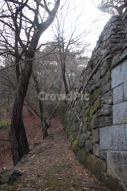 벽돌,나무,길,굽은길,외곽,쓸쓸함,이끼,흙,겨울,맑은,틈,한적한,자연풍경,나무가지,앙상한,돌담,성벽,산속,wall,벽,slate,슬레이트,path,통로