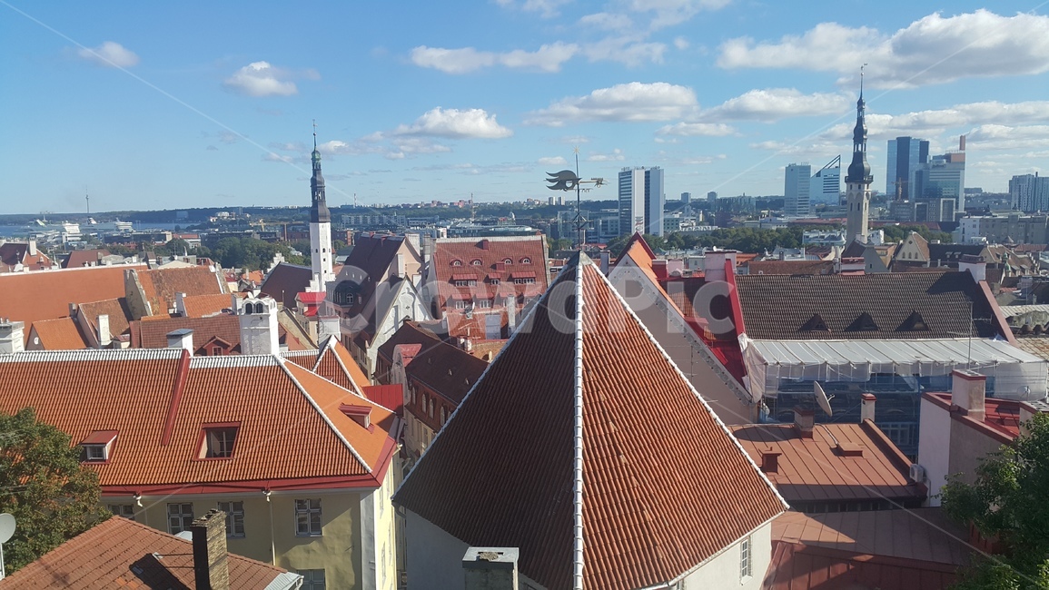 estonia,에스토니아,탈린,tallin,올드타운