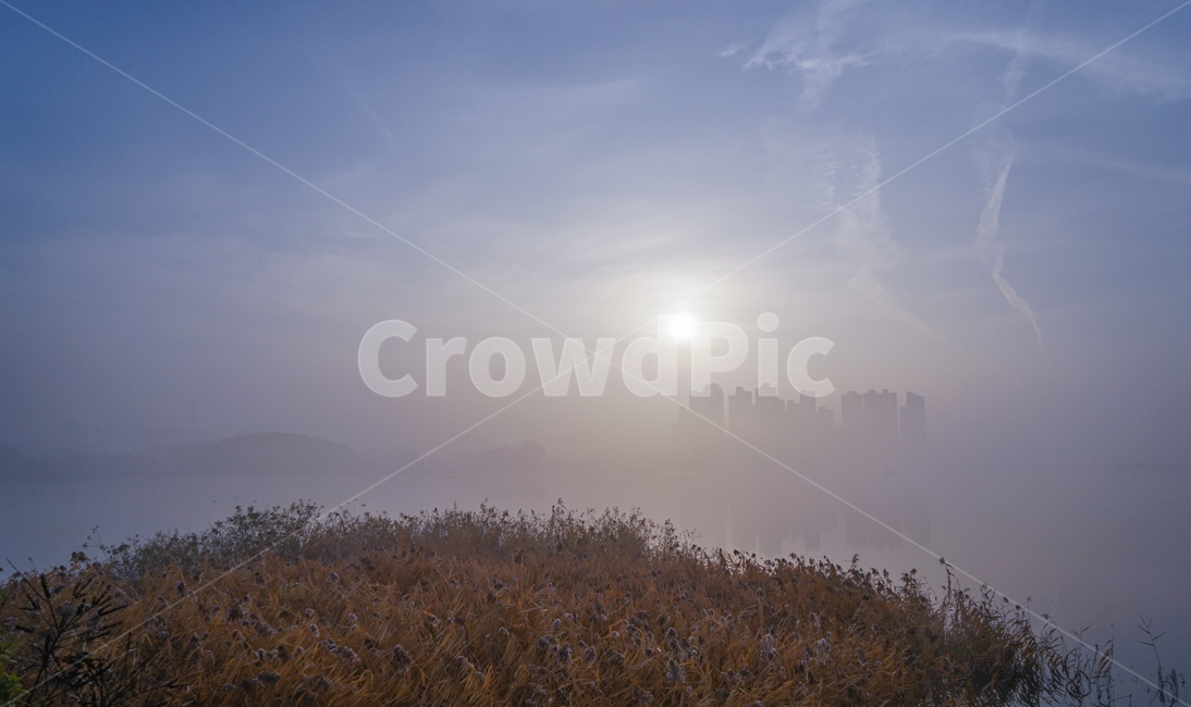 호수,새벽,풍경,안개,물안개,여명,자연,자연,풍경,nature,landscape,weather,날씨,outdoors,옥외
