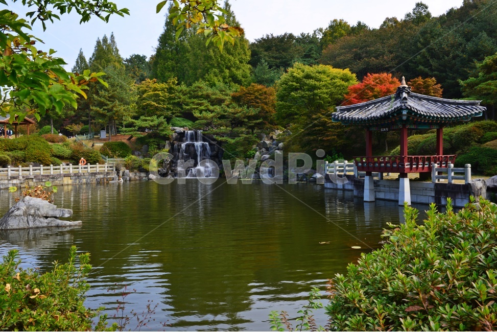 대전,국립대전현충원,현충원,가을,추색,추경,단풍,현충지,현충지반영,연못,water,물,nature,자연,outdoors,옥외,human,인간,person,사람