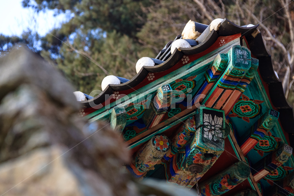 청량사,불교,건축물,종교,환경,한국전통,한국문화,korean traditional,korean culture,건축물,건물외관,exterior,building,structure,architecture,construction