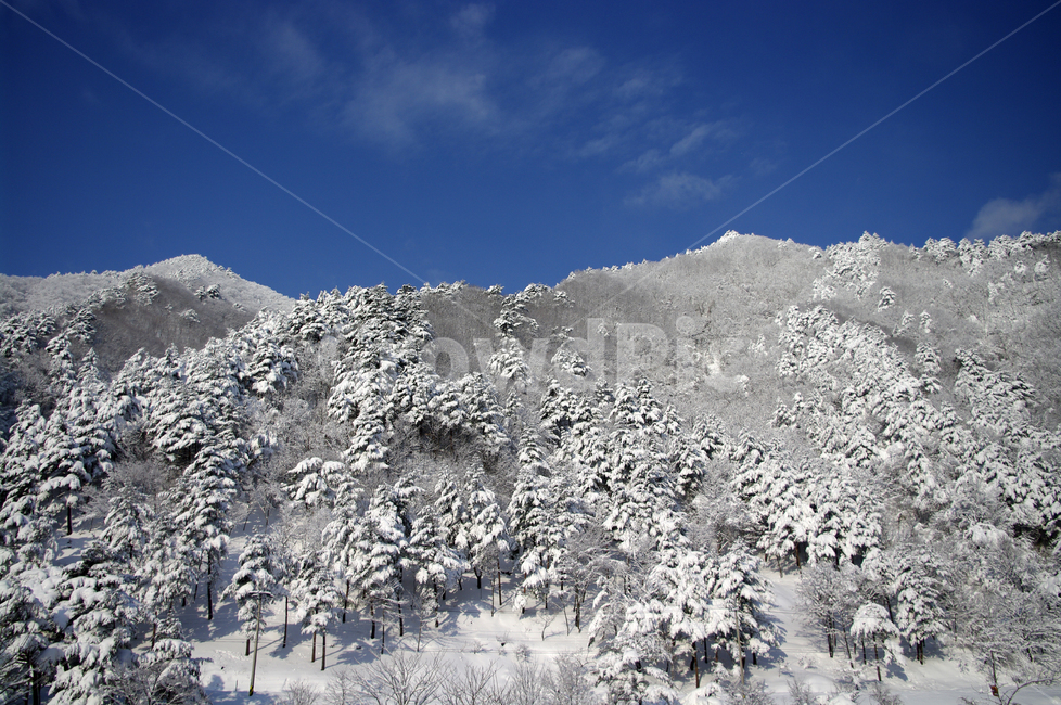 겨울,눈,설경,풍경,산,겨울산,설산,겨울,계절,winter,season