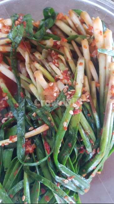 plant,식물,food,부추김치,전구지,부추