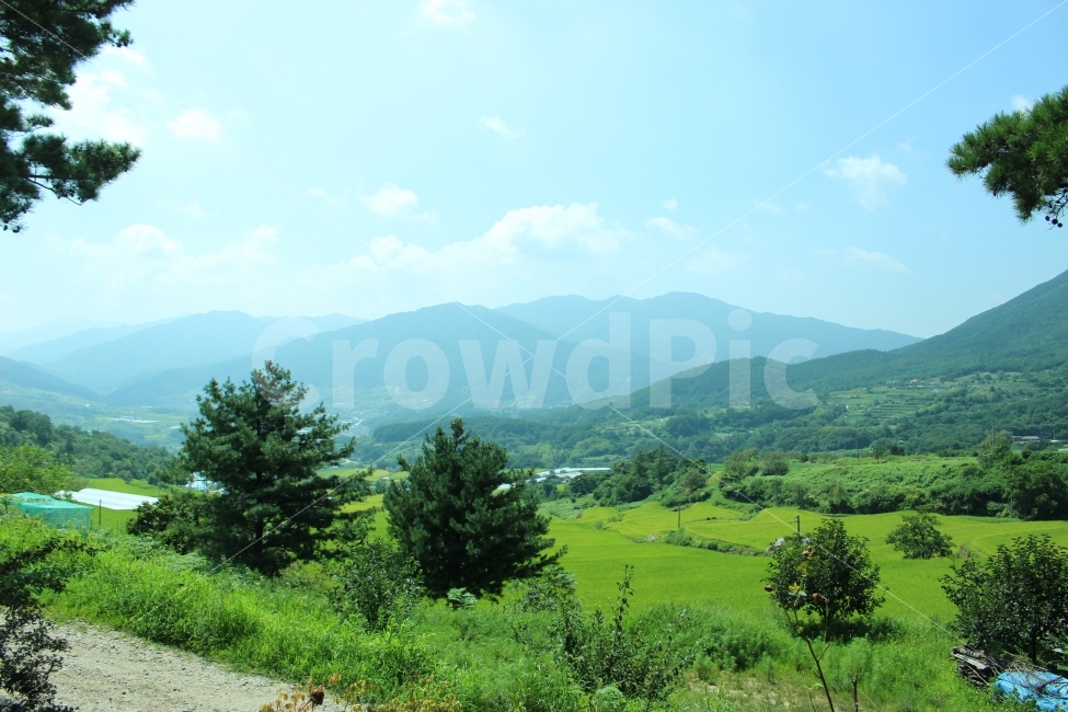 지리산,휴가,여행,산,힐링,펜션,자연,가을,자연,풍경,nature,landscape,tree,나무,plant,식물,fir,전나무,outdoors,옥외