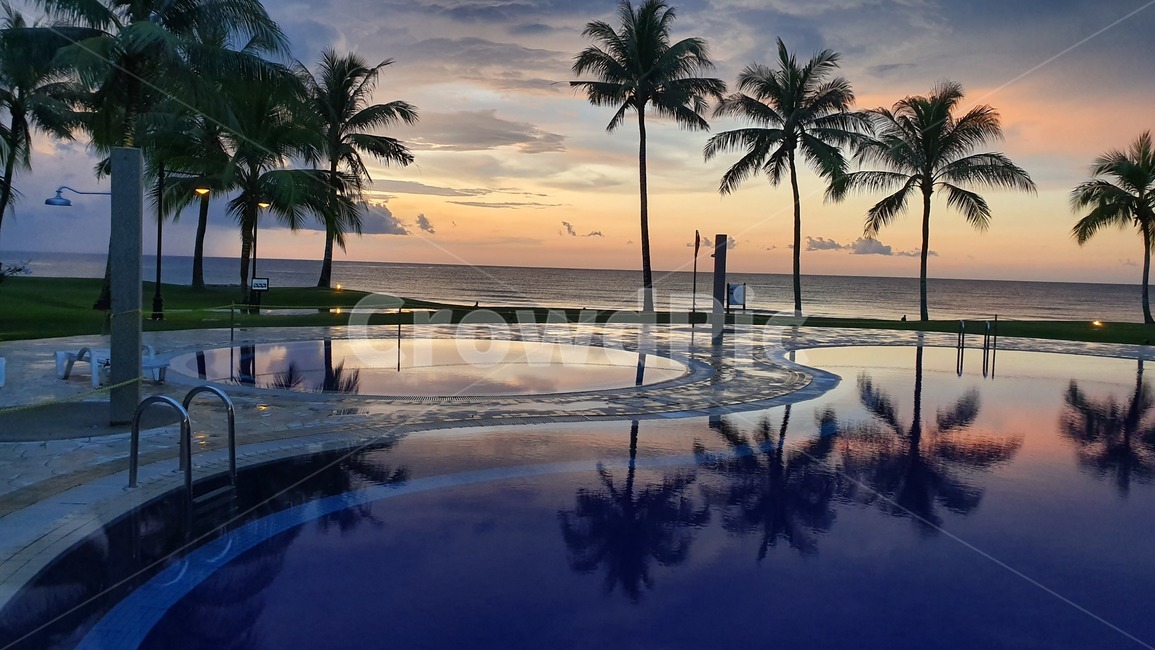 summer,여름,tropical,노을,sunset,nature,수영장,여름,계절,summer,season