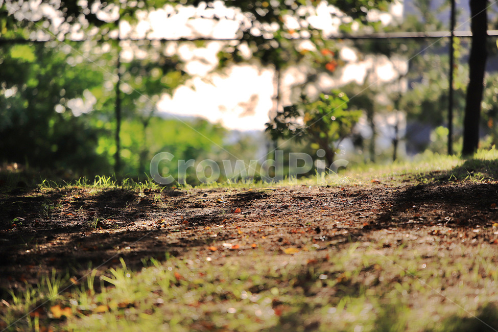 공원,자연풍경,힐링,나무,잔디,식물,자연,plants,nature,휴식,힐링,rest,relaxation,healing