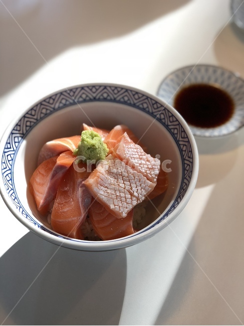 사케동,연어,연어덮밥,food,japanesefood,음식,식재료,요리,food,cook,meal,dishes,food reserves,일식,일본음식,일본요리,Japanese food,Japanese dishes,Japanese meal,Japanese cook