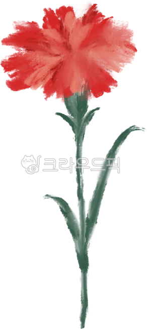 Carnation,Parents' Day,Teacher's Day,Gift of Thanks,Gratitude,Gift,Flower,Carnation Sticker,Carnation Background,Carnation Element,Carnation Delivery,Family Month,Carnation Illustration,Hand Drawing,Thank You,Thank You,One Carnatio