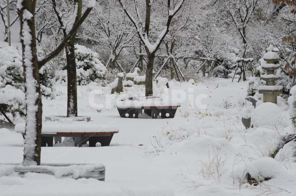 겨울,공원,눈,눈내린,산책,설경,흰눈,scene,view,feeling,emotion,nature,landscape,풍경,감정,감성,자연,계절,season,snow,white,winter,풍경사진,감성사진,정취