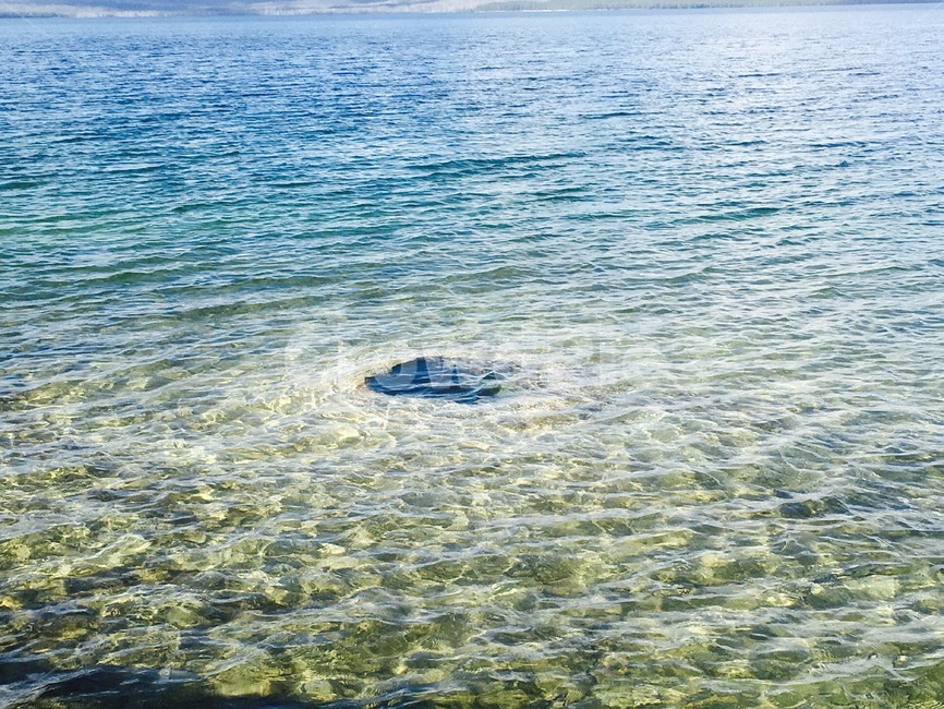 water,물,에메랄드,평화,자연재해,자연,nature,자연,풍경,nature,landscape,outdoors,옥외,sea,바다,ocean,대양,shoreline,해안선
