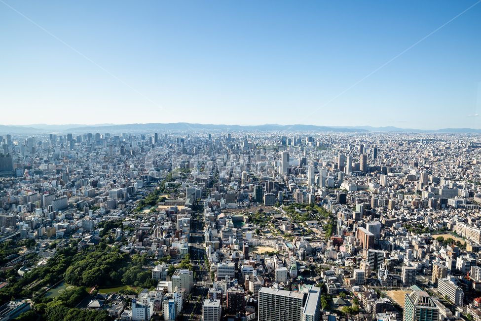 오사카,도시풍경,전망대,항공샷,도심,도시,풍경,city,landscape,해외,외국,세계,foreign,oversea,world,세계도시풍경,해외도시풍경,외국도시풍경,world cityscape,outdoors,옥외,경치,nature,자연,scenery,urban,어반,town,시티,building,건물