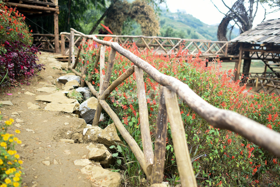자연,옥외,건물,농촌,오두막,nature,hut,rural,꽃,flowers,blooming