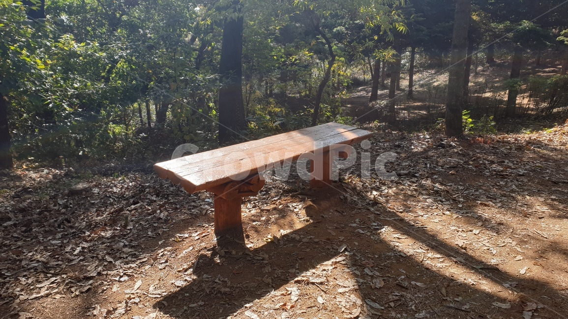 bench,벤치,ground,산,산속,의자,외로움,쓸쓸함,자연,풍경,nature,landscape