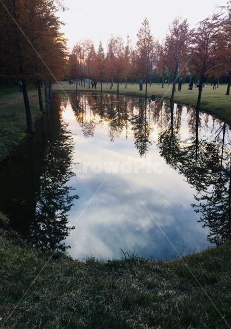 하늘,풍경,강,나무,감성,sky,scenery,river,tree,emotional,자연,풍경,nature,landscape,water,물,land,땅,outdoors,옥외