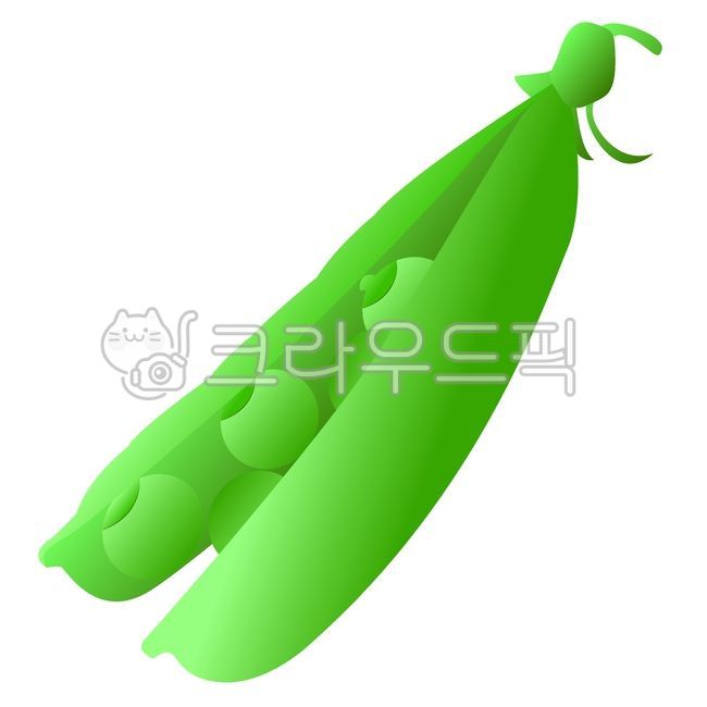 Vector file,pod,pea,vertor,design elements,plant,bean pod,vector,illustration,grain,illust,graphic,bean,design source,object