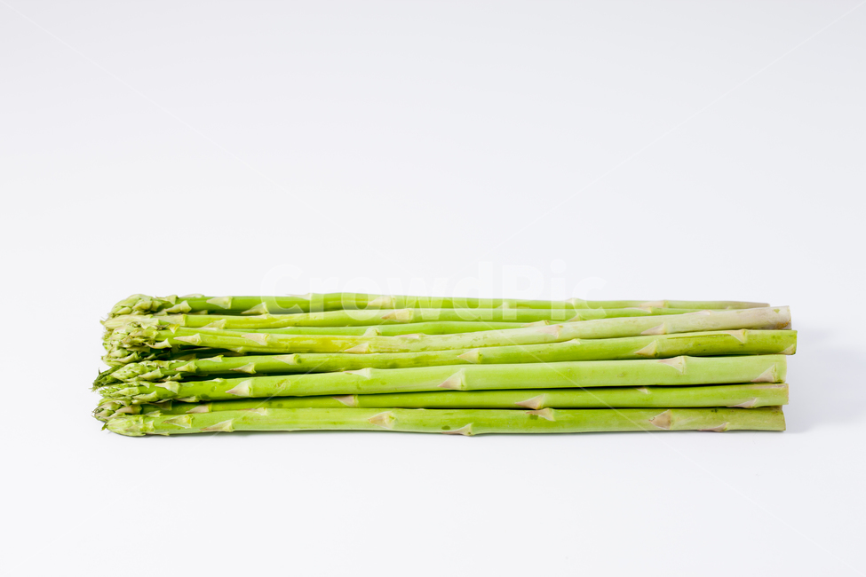아스파라거스,asparagus,아스파라거스누끼,누끼,채소,plant,식물,vegetable,야채,food,식품,채소,야채,vegetables