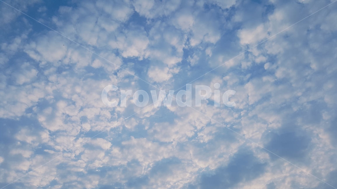 하늘,풍경,구름,화창한,날씨,daily,dailyroutine,cloud,sky,landscape,weather,summer,여름,배경