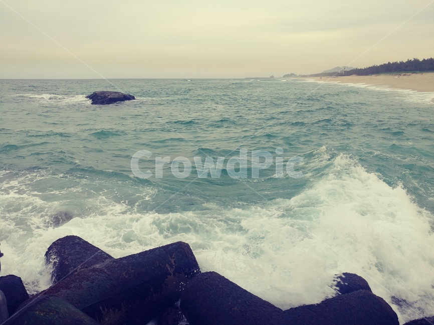 바다,물,파도,포말,해변가,ocean,sea,자연,nature