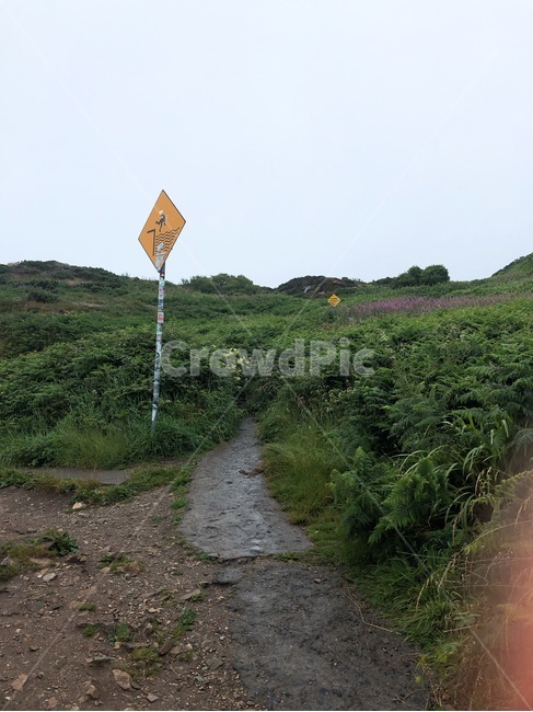 길,흙길,산책길,자연,야외,표지판,road,nature,outdoors,sign