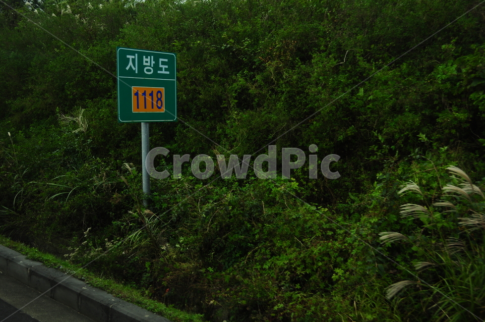 제주도,풍경,자연,풀,표지판,숲