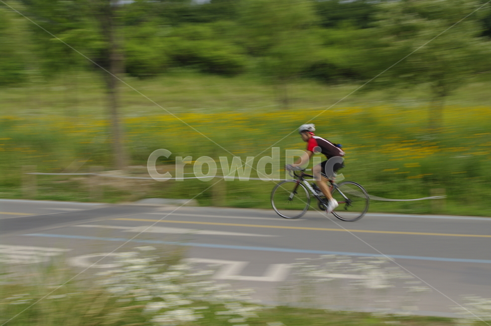 한강공원,자전거,나무,식물,길,스포츠,레저,운동,sports,leisure,exercise