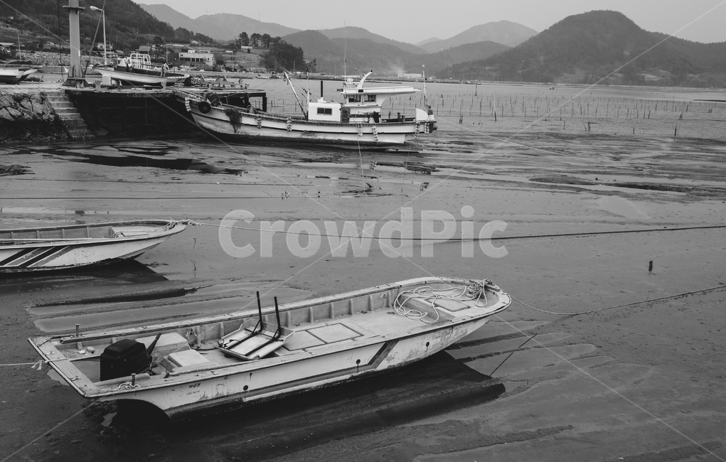 순천,순천시,전라남도,전남순천,와온해변,와온,순천겨울,겨울바다,순천바다,겨울,해변,바다,흑백,모노톤,monochrome,black and white,산업,industry,industrial,어업,fishery,fishing industry