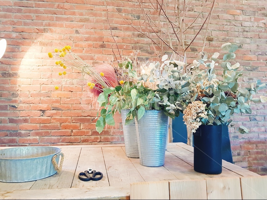 꽃병,꽃,가위,그릇,화분,실내용화초,화분,화초,house plant