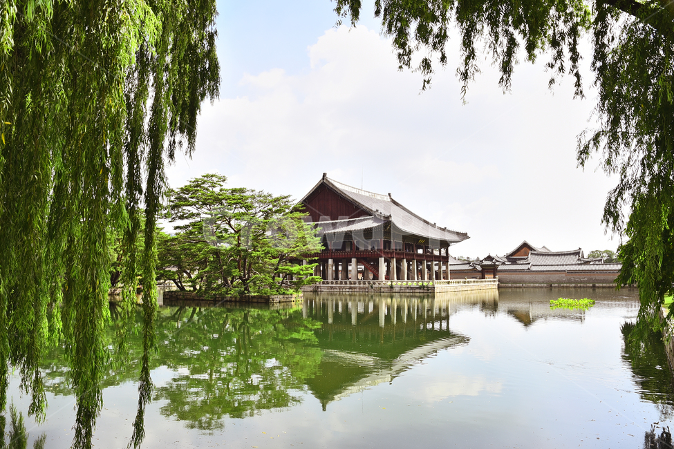 한국전통,고궁,경복궁,명소,서울,traditional,korean,palace,기와,단청,조선시대,궁궐,building,structure,ancientpalace,gyeongbokgungpalace,house,경회루,배경,바탕,백그라운드,background,건물,건축물,인공호수,연못,수양버들,버드나무,반영,비치다