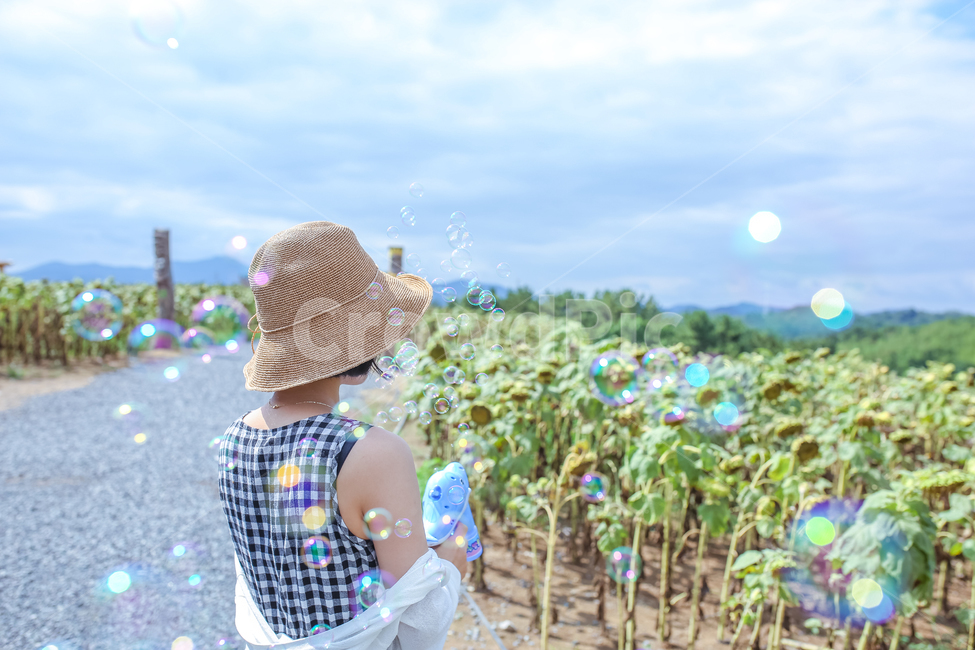 해바라기,꽃,여자,비누방울,bubble,인물,감성,여름,계절,summer,season,사람,인물,인간,human,person,여성,여자,woman,female,lady,여행,휴가,traveling,vacation,trip,감성,sensible,feeling,색깔,색상,색채,색감,color sense,color sensitivity,feeling of color,sun hat,태양 모자,hat,모자