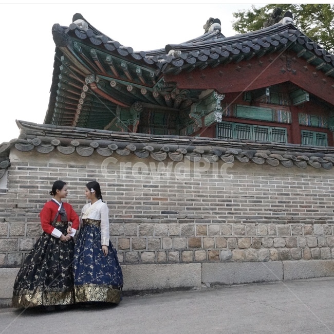 창경궁,궁,여자,한복,사람,전통의상,옆모습,추석사진공모전,한국전통,한국문화,korean traditional,korean culture,한복,한국전통의상,hanbok,korean traditional clothes