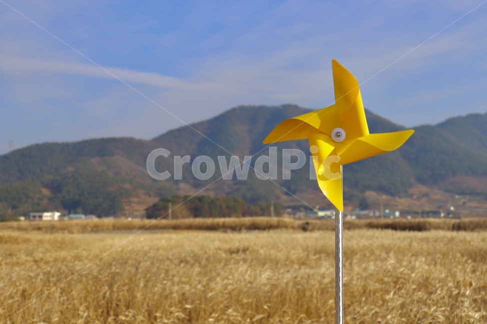 순천,바람개비,순천만습지,가을,갈대,노랑,하늘,배경,감성,노란색,풍경,맑음,바탕,자연,경치,낮,갈대밭,순천명소,계절,평온한,순천갈대숲,평화로운,바람,힐링,휴식,산,landscape,daytime,season,fall,winter,healing,pinwheel,windmill,reed