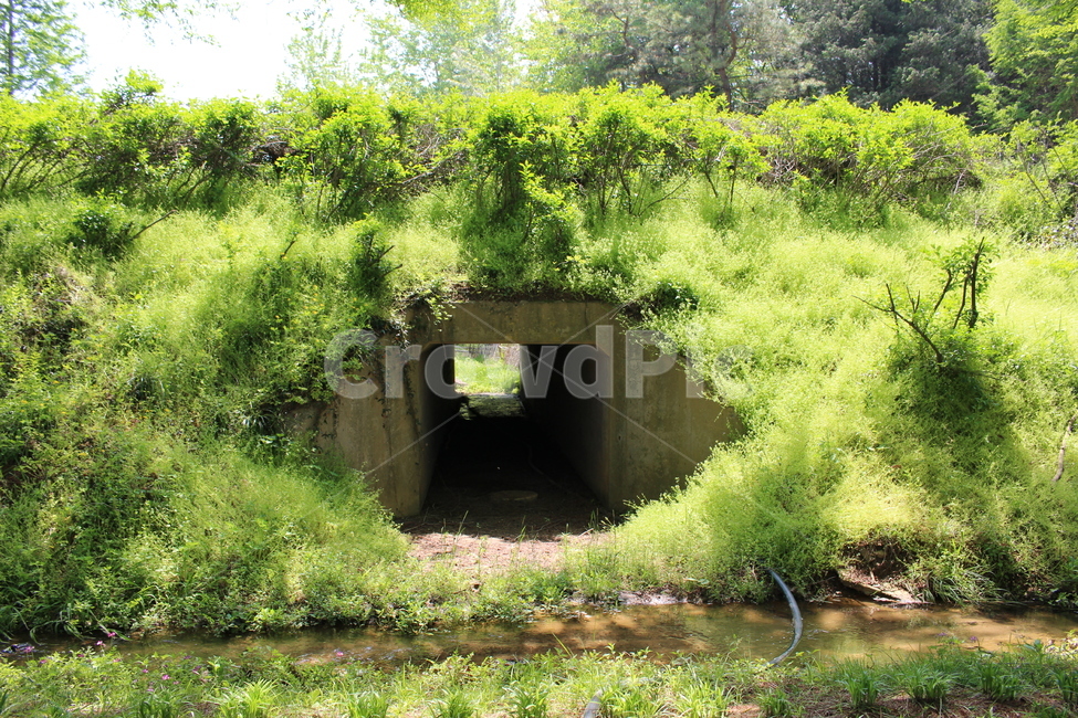 터널,풀,햇빛,풍경,tunnel,sunshine,자연,풍경,nature,landscape,building,건물,bunker,벙커