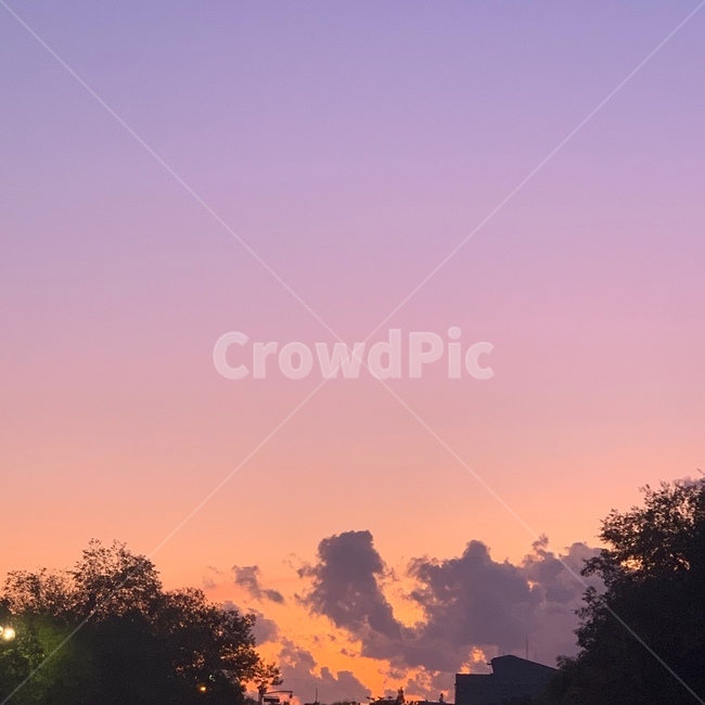 하늘,구름,공원,나무,산책,sky,cloud,park,tree,weather,날씨,nature,자연,outdoors,노을,붉은하늘,일몰,황혼,새벽,dawn