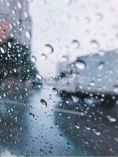 비,물방울,감성,빗물,분위기,작은물방울,droplet,빗방울