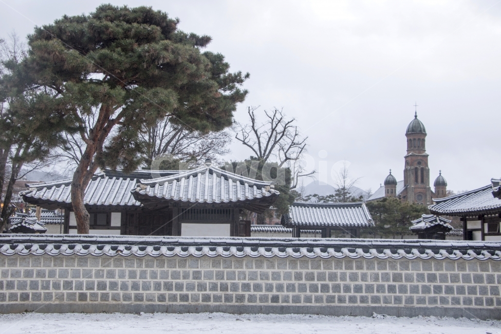 사진,단독사진,디자인,소스,포토,사진자료,배경,배경사진,백그라운드,한국,동양,아시아,접사,근접,자연,겨울,눈,얼음,경치,설경,Landscape,날씨,겨울배경,겨울풍경,풍경,눈풍경,한옥,지붕,사찰,전통가옥,기와,기와집,보케,흩날림,돌담,담,전통담,겨울,계절,winter,season,한국전통,한국문화,korean traditional,korean culture
