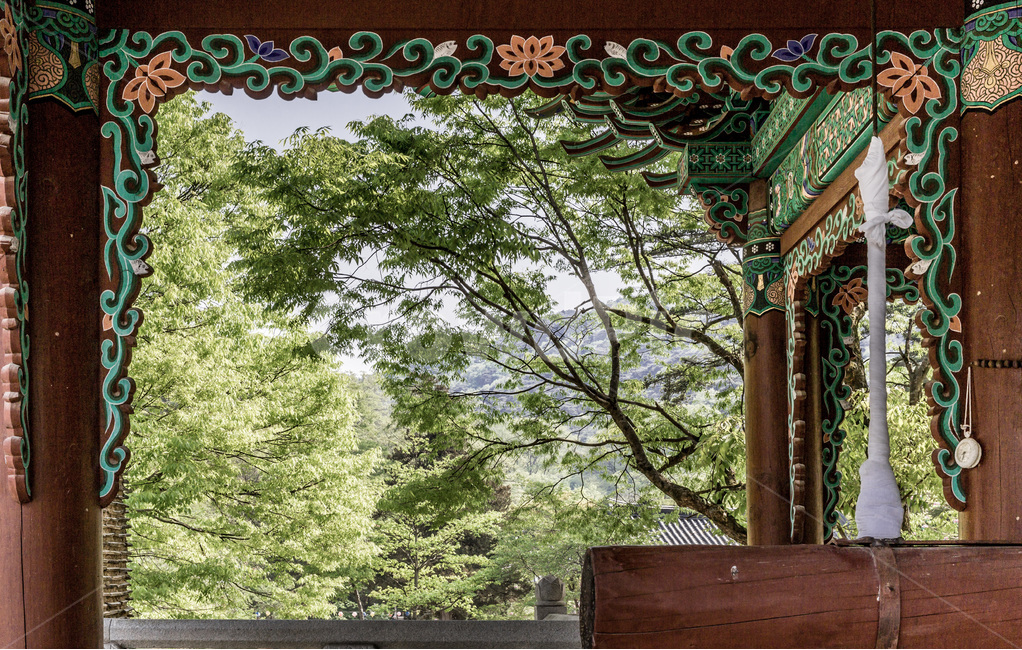 단청,문양,무늬,사찰,문화유산,마곡사,채색,한국전통,한국문화,korean traditional,korean culture,건축물,건물외관,exterior,building,structure,architecture,construction