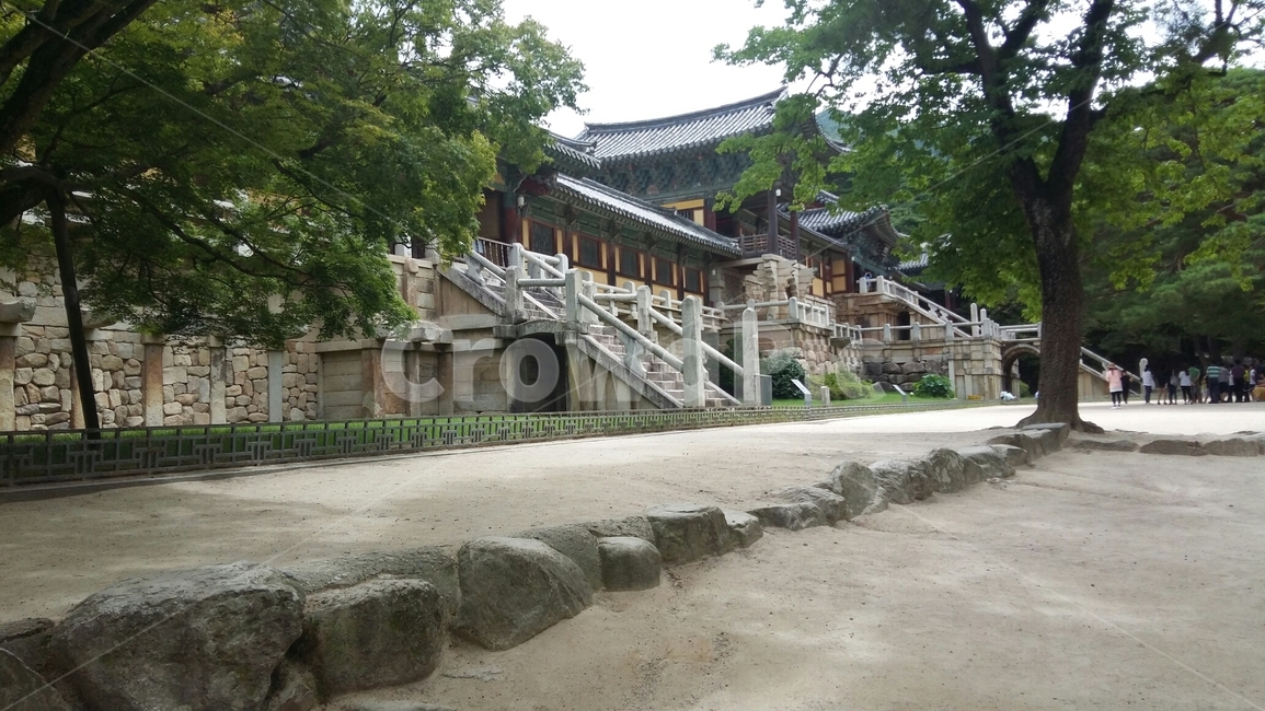 경주,불국사,절,나무,자연,한국전통,한국문화,사찰,한국,초록