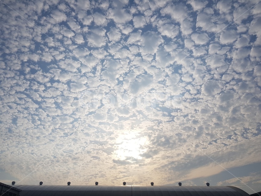 자연,nature,sky,하늘,weather,구름,cloud,신기한구름,자연,풍경,nature,landscape